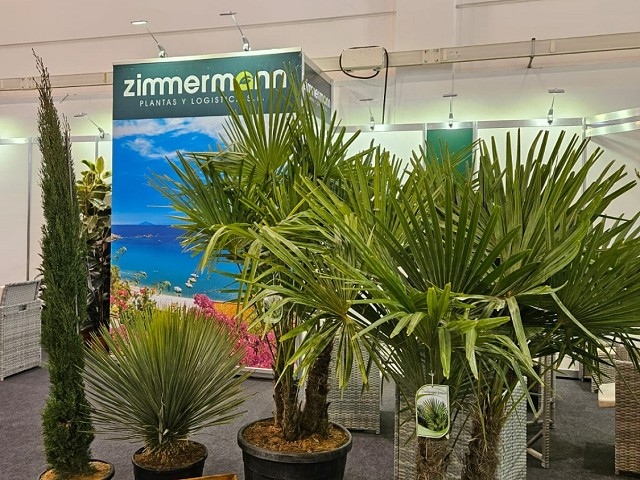 Stand Zimmermann - Mediterrane Pflanzen