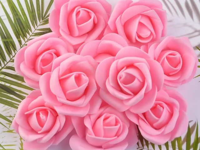 Rosa roses
