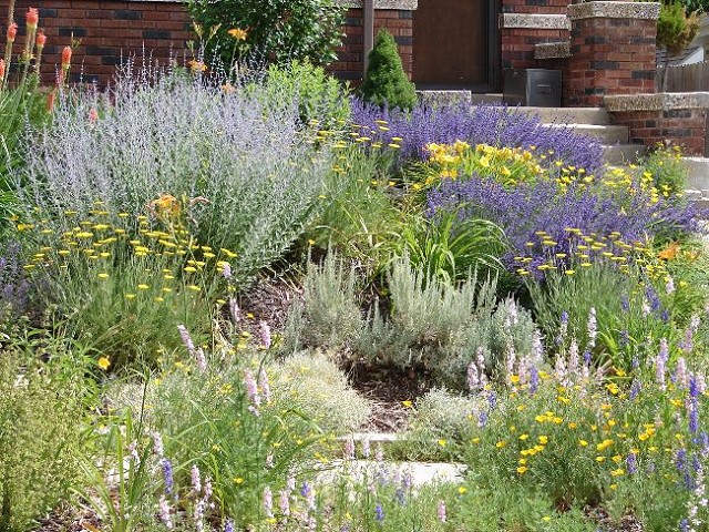 XEROJARDIN
